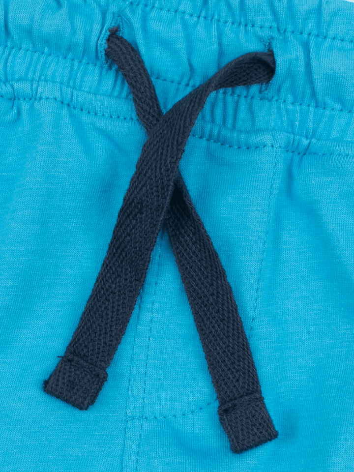 Stone Harbor Boy's Jogger BOY'S ROYAL BLUE GRAPHIC JOGGER