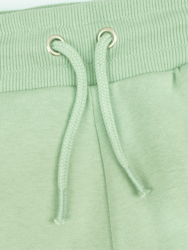 Stone Harbor Boy's Sweat Pants BOY'S SAGE GREEN FLEECE JOGGER