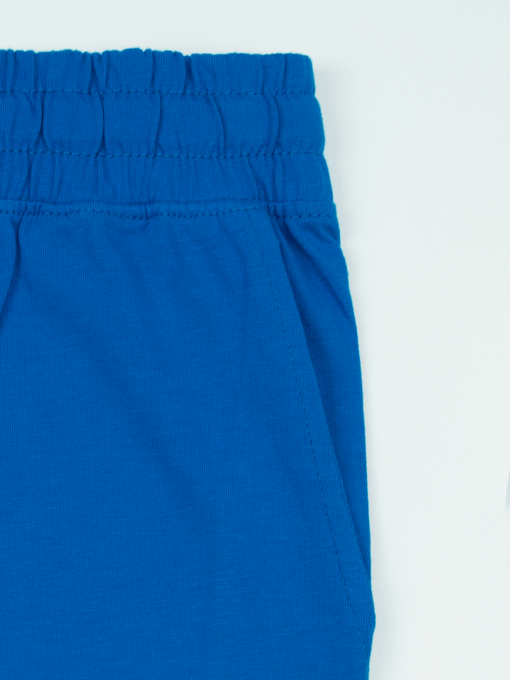 Stone Harbor Men's Jogger MEN'S PERFECT ROYAL BLUE TROUSER
