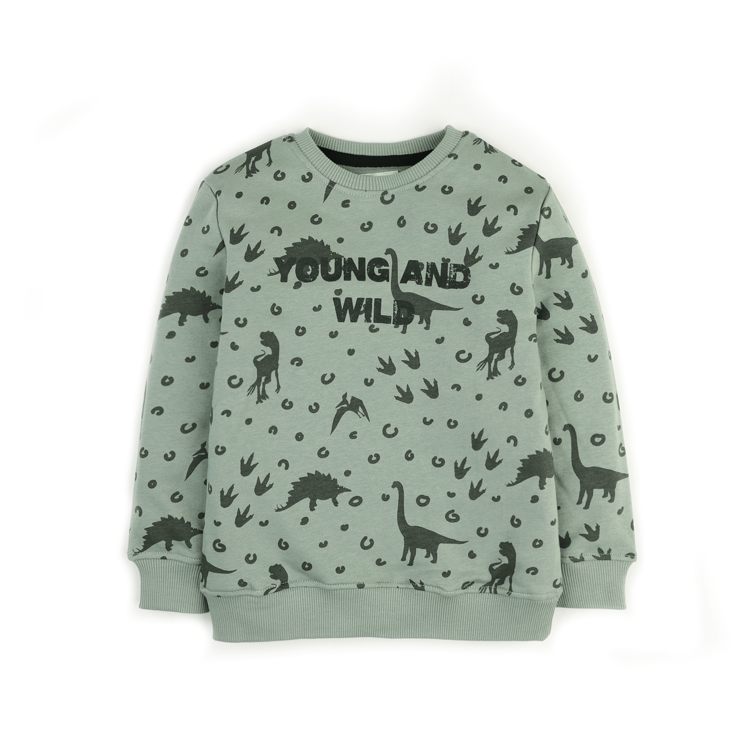 Stone Harbor Girl's Sweatshirt AOP / 2-3 Y BOY'S WILD PRINTED SWEATSHIRT